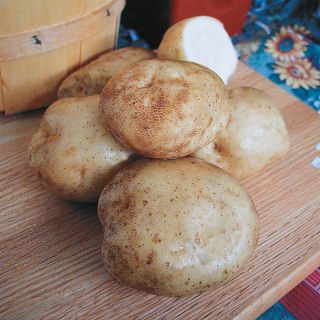 Irish Cobbler Potatoes Thumbnail